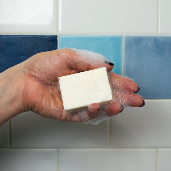 Frida mini soap